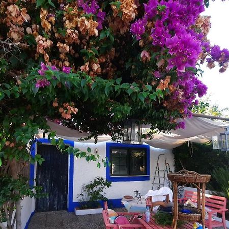 Casa Con Sierra Y Con Portugal Villa Rosal de la Frontera Eksteriør billede