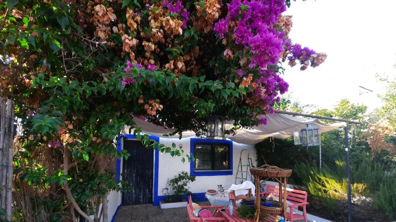Casa Con Sierra Y Con Portugal Villa Rosal de la Frontera Eksteriør billede
